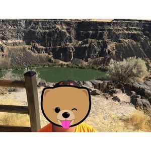 Meet your Posher, Nic